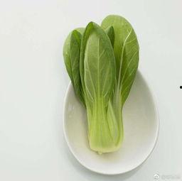 青菜爆料视频完整版,揭秘幕后真相，完整版内容深度解析